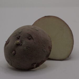 Single Dark Red norland seed potato