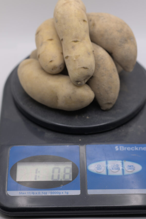 1 pound of Austrian Crescent on a scale