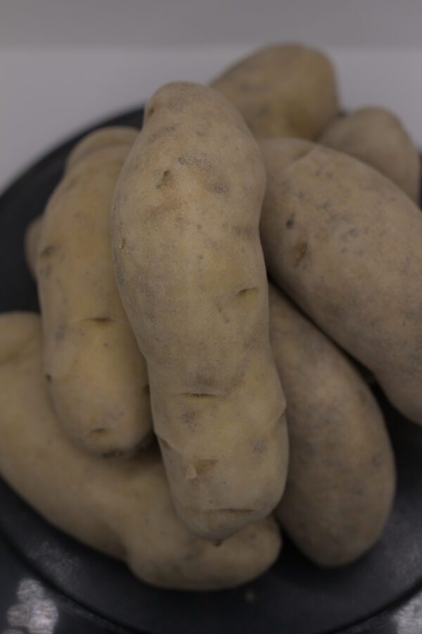 Austrian Cresent tubers close up