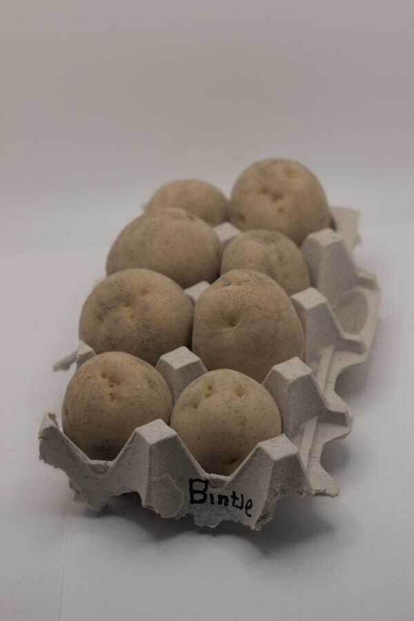 Binjte tubers in egg carton