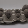 one pound of huckleberry gold seed tubers in an egg carton