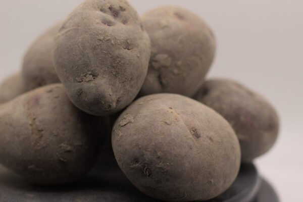 close up of purple viking seed tubers