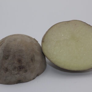 close up of purple viking tuber that has been cut in half