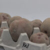 red pontiac tubers in an egg carton