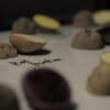 zoomed in photo of various potatoes cut in half.