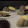 zoomed in photo of various potatoes in cut in half