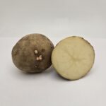 Alturas Seed Potato