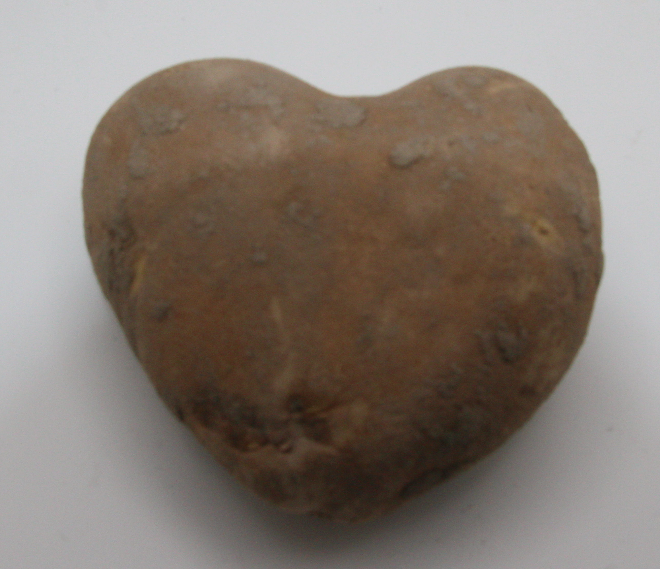 Heart Shaped Potato