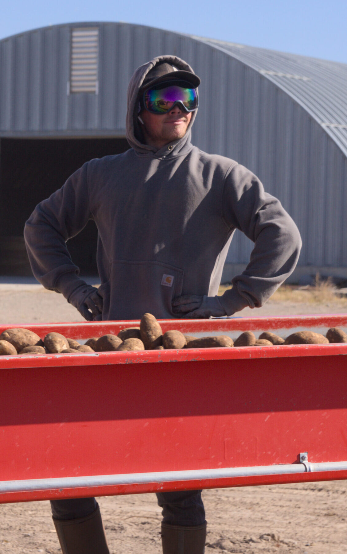 An image of a healthy, hardworking seed potato expert, powered by the nutrition of spuds.
