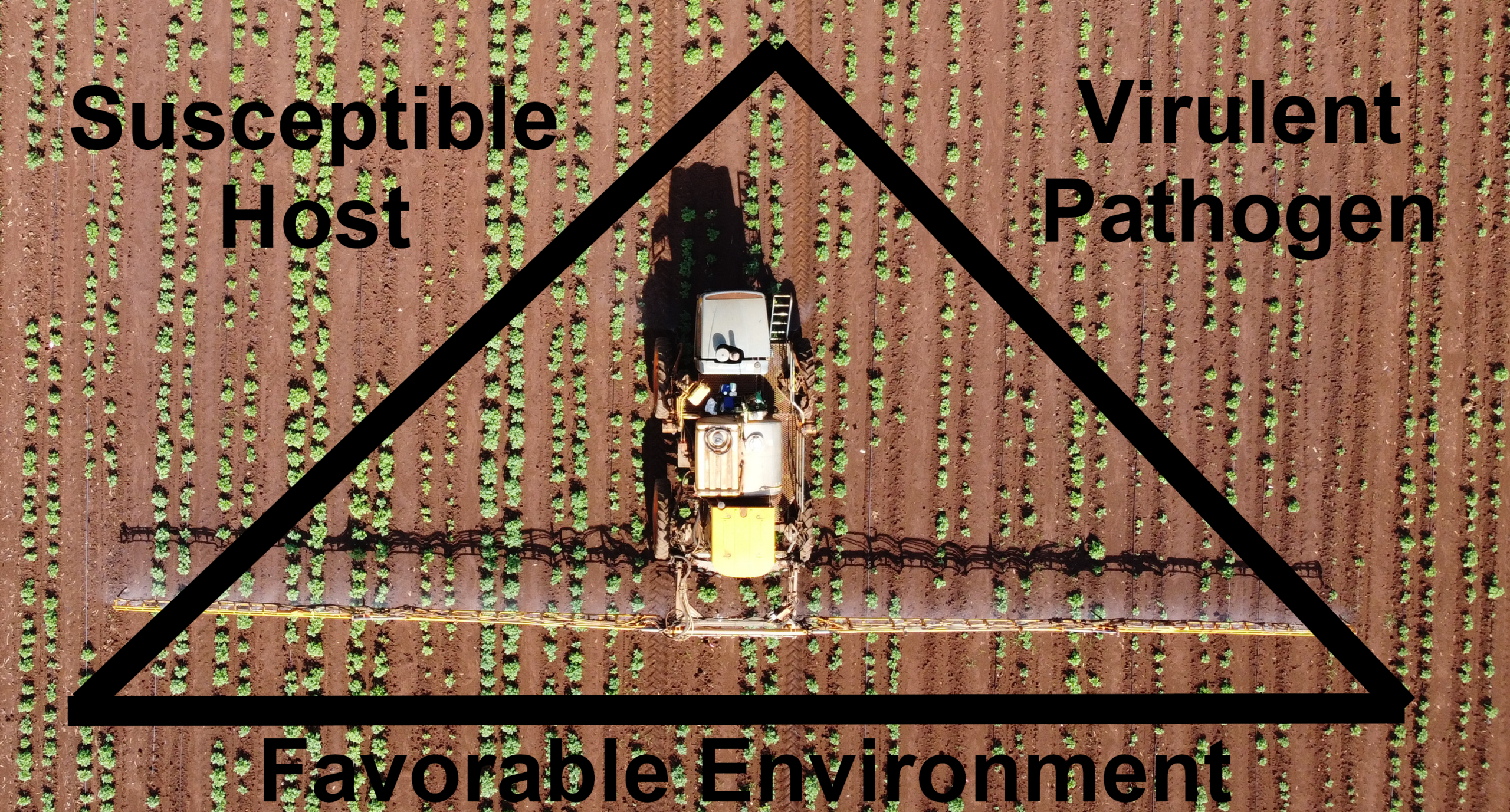 An infographic of the plant disease triangle (host, pathogen, environment). The image is of a chemical applicator in a potato field.